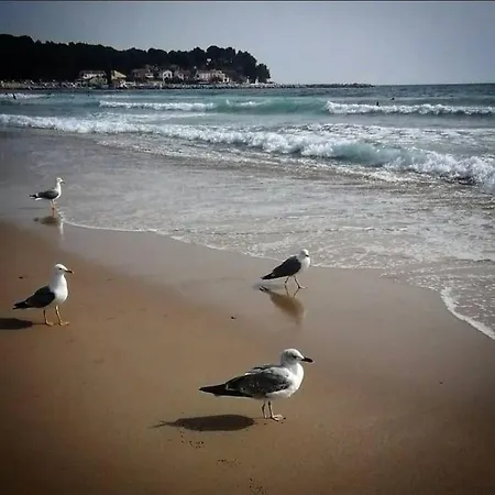 La Seyne-sur-mer, Tamaris Massada. *